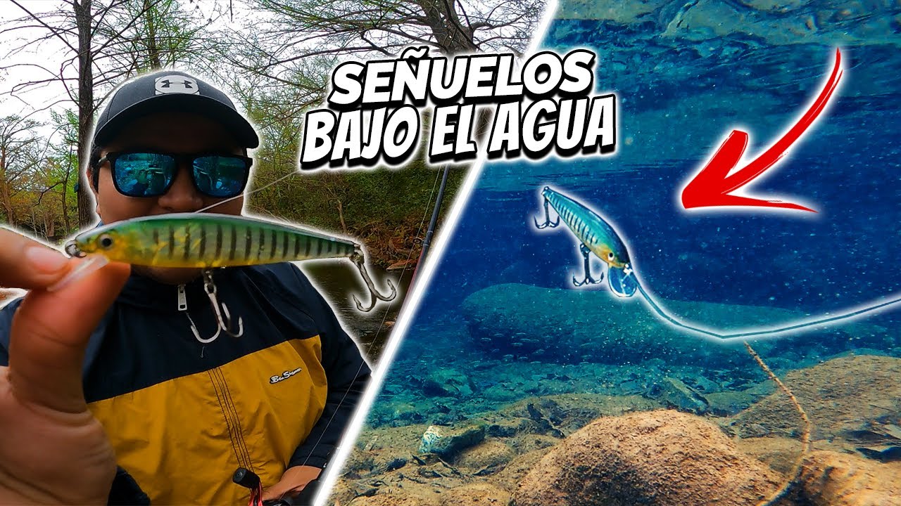 Cómo MOVER los SEÑUELOS para Pescar