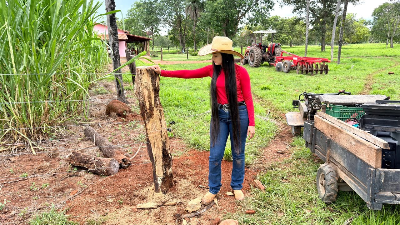 AGORA QUERO VER AS VACAS QUEBRAR