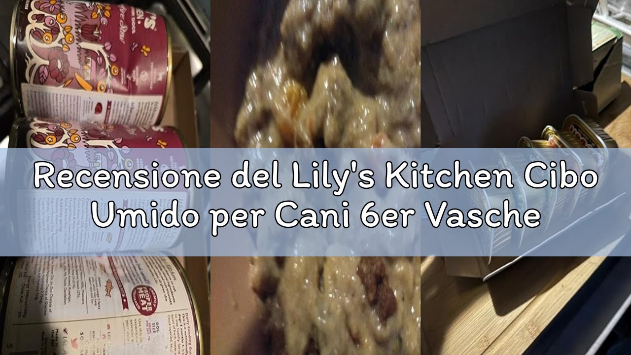 Recensione del Lily's Kitchen Cibo Umido per Cani 6er Vaschette (6 x 150g) - Multipack