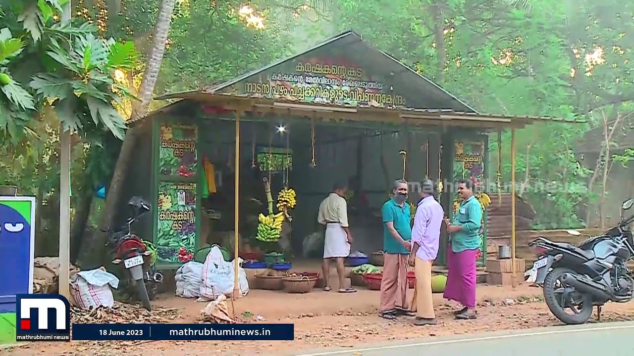 കൃഷി ചെയ്ത പച്ചക്കറികൾക്ക് വില കിട്ടിയില്ല, അതുകൊണ്ട് സ്വന്തമായി ഒരു കട; വിജയവഴി കണ്ടെത്തി സഹോദരങ്ങൾ