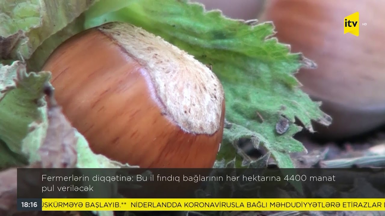 Fermerlərin diqqətinə: 