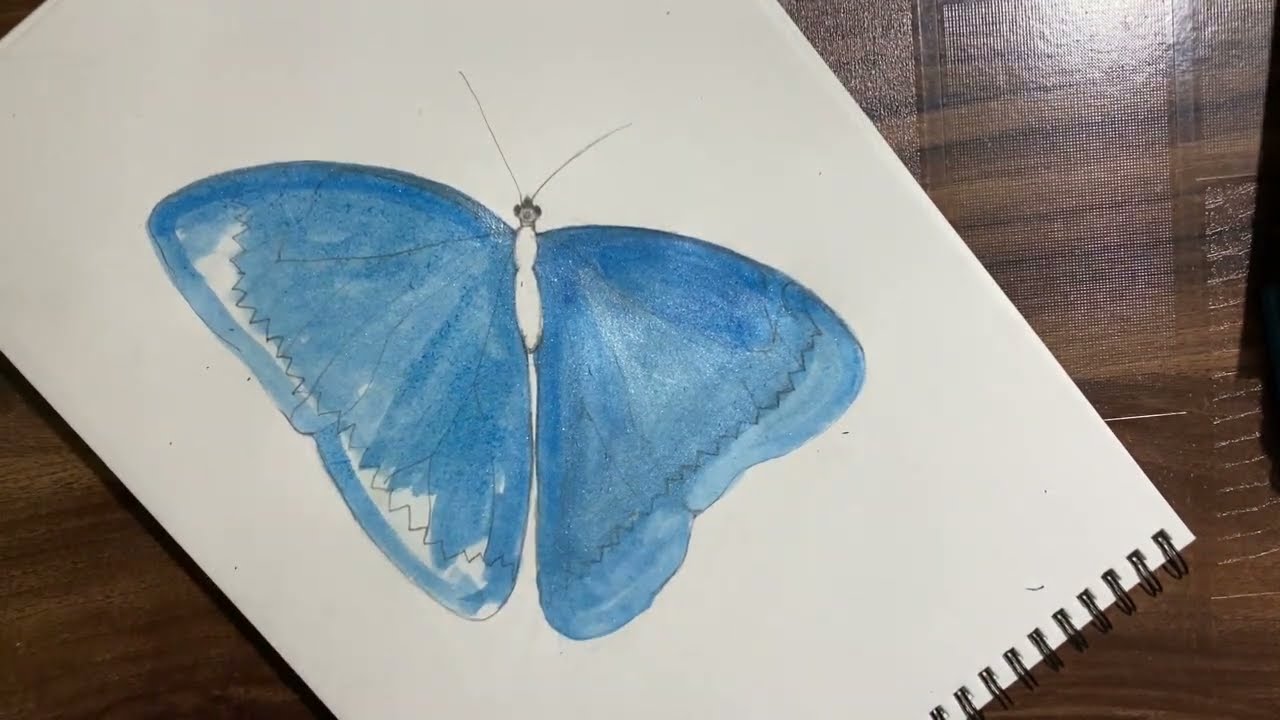 The World’s Most Beautiful Butterflie blue morpho butterfly #art 