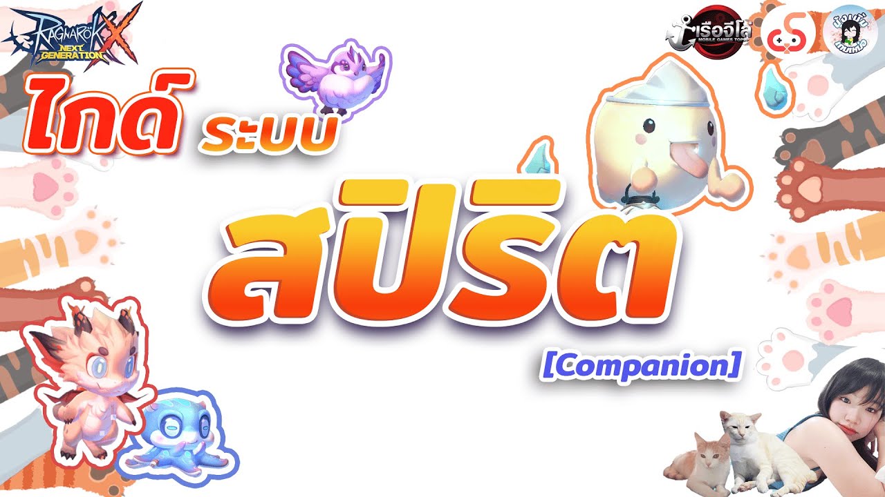 ROX Guide │ไกด์ระบบสปิริต Companion มีทำไม ? ใช้ยังไง ? จบที่นี่เลย!!