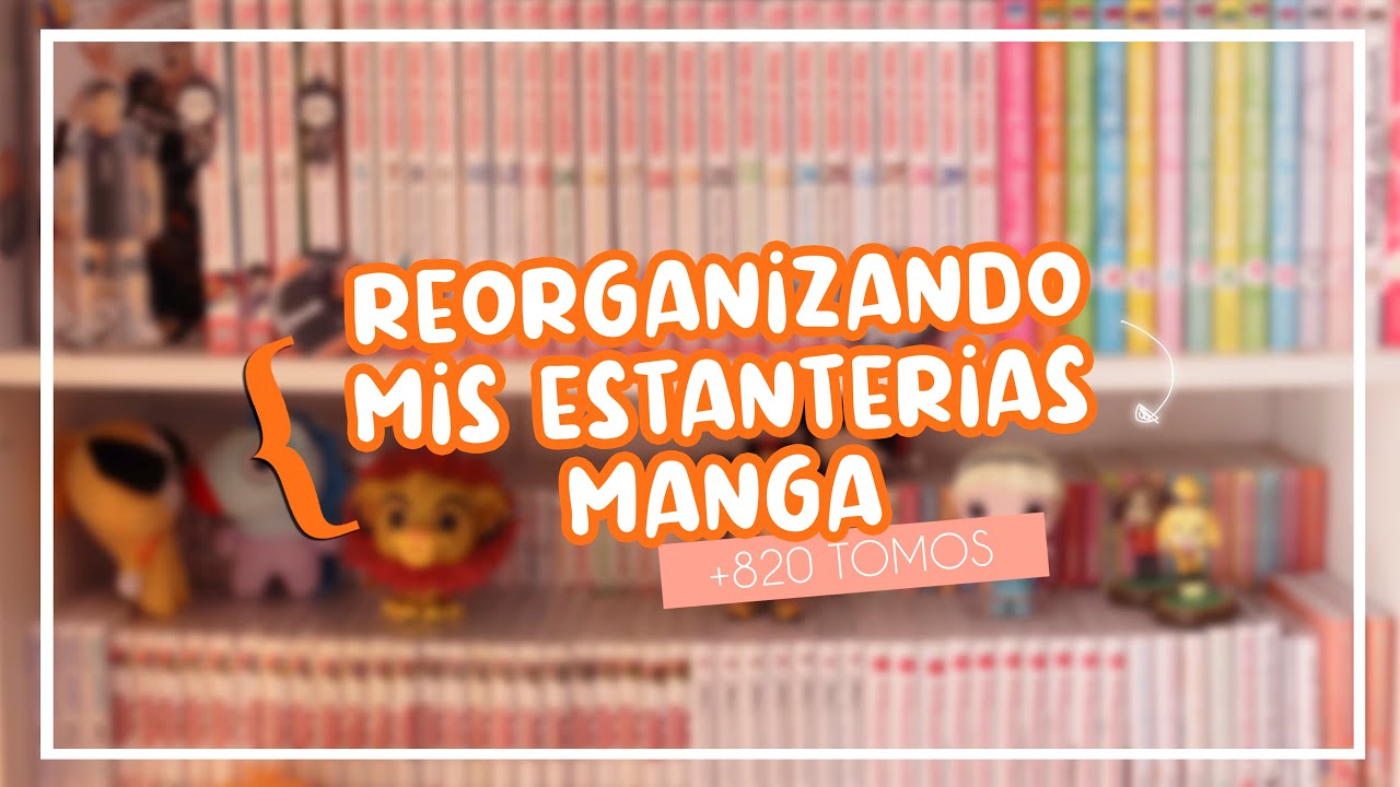 REORGANIZANDO MIS ESTANTERIAS 2022