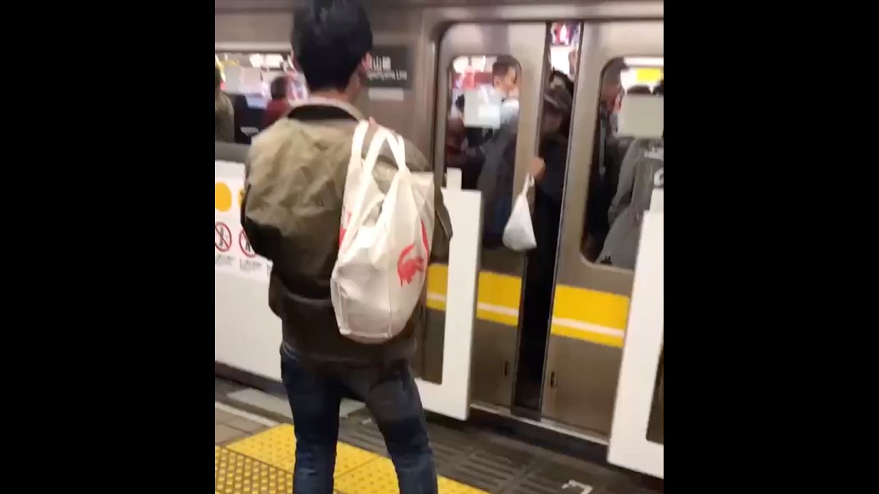 A Crazy Old Man VS Subway Train Doors