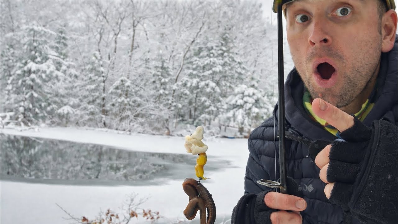 Trout Fishing on an Icy Pond 