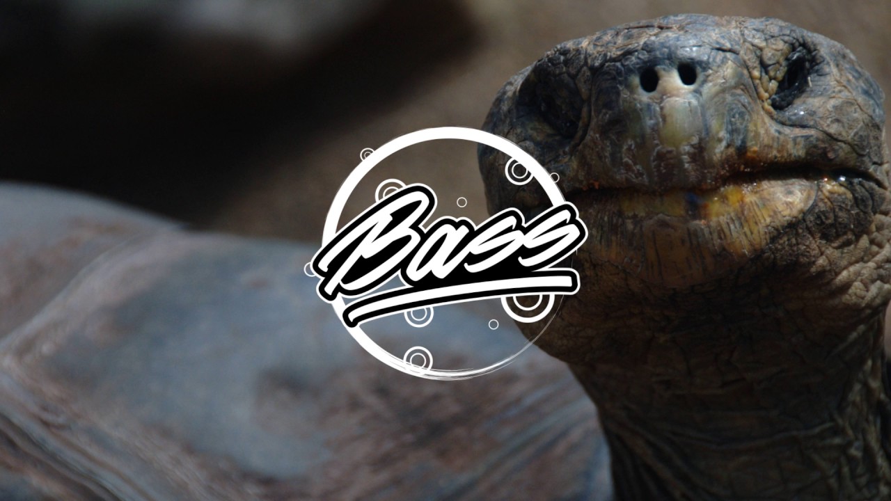 Trippy Turtle - Slide (Jersey Club)