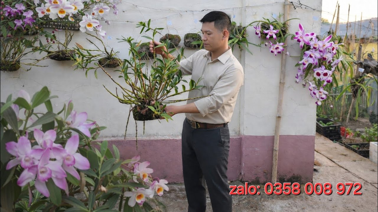 20/01/2026 ĐÙI GÀ, ĐUÔI CHỒN, U LỒI,... ĐANG NỤ,GIÁ RẺ ĐT 0358 008 972. EM GÁI ĐẮC