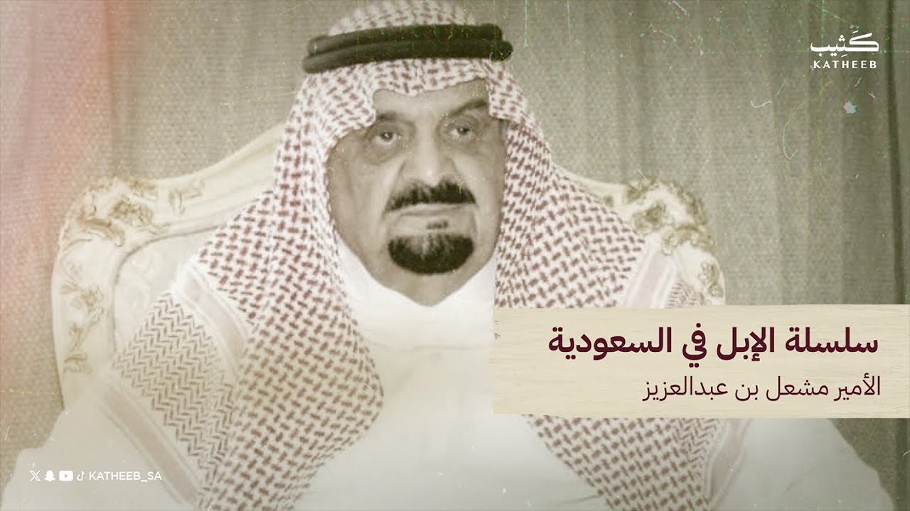 سلسلة الإبل السعودية | الأمير مشعل بن عبدالعزيز - رحمه الله - | #متن