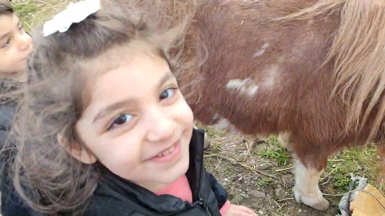At çiftliği 🐴🐎