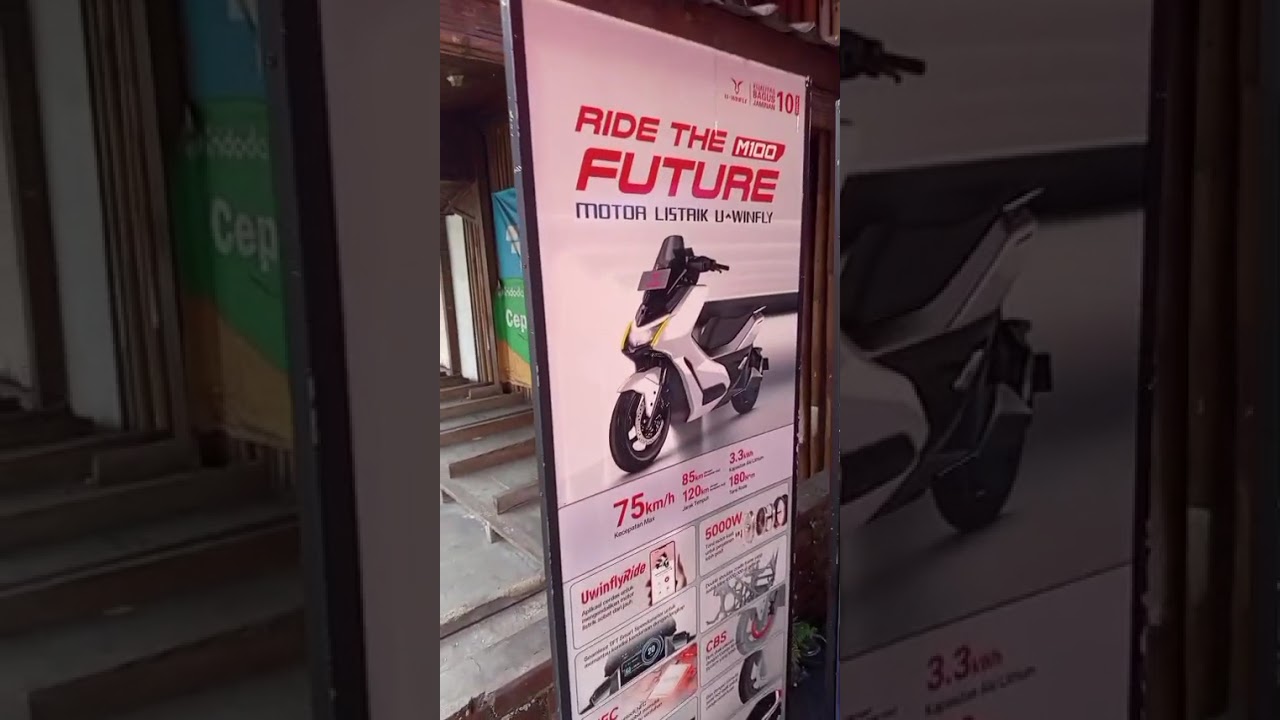 Pengiriman Buah Alpukat MBG