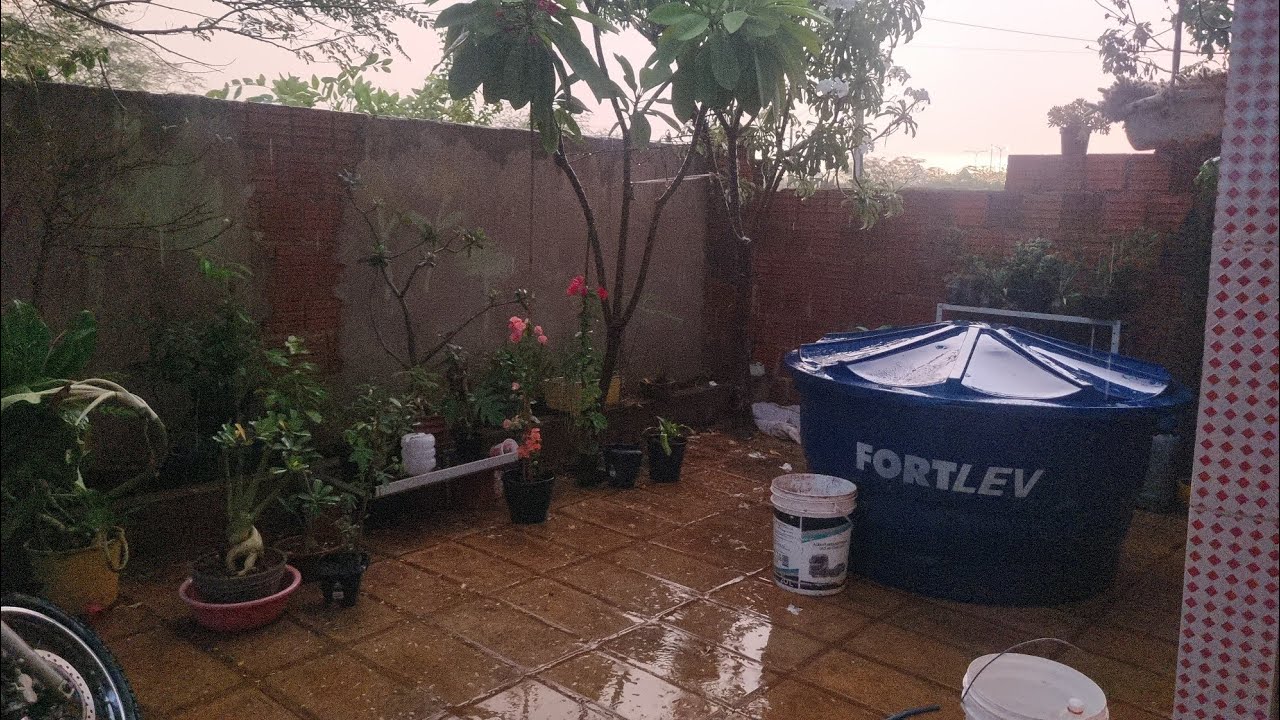 Chuva muito boa aqui no sertão nordestino 