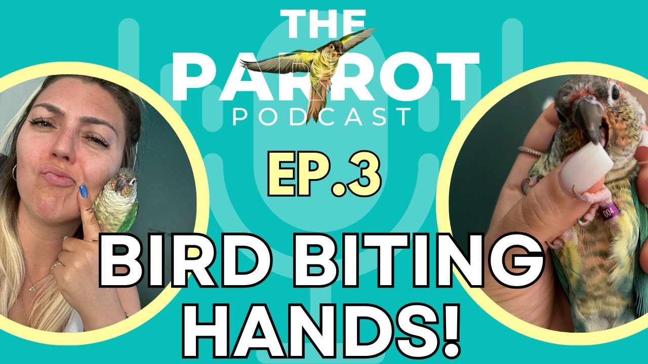 Parrot Biting | What to do if your bird is biting hands | The Parrot Podcast #3