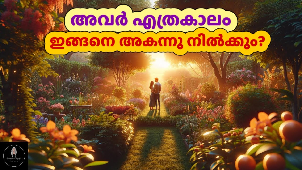 അവർ എത്രകാലം ഇങ്ങനെ അകന്നു നിൽക്കും? | #tarot #love #breakup #shortvideo
