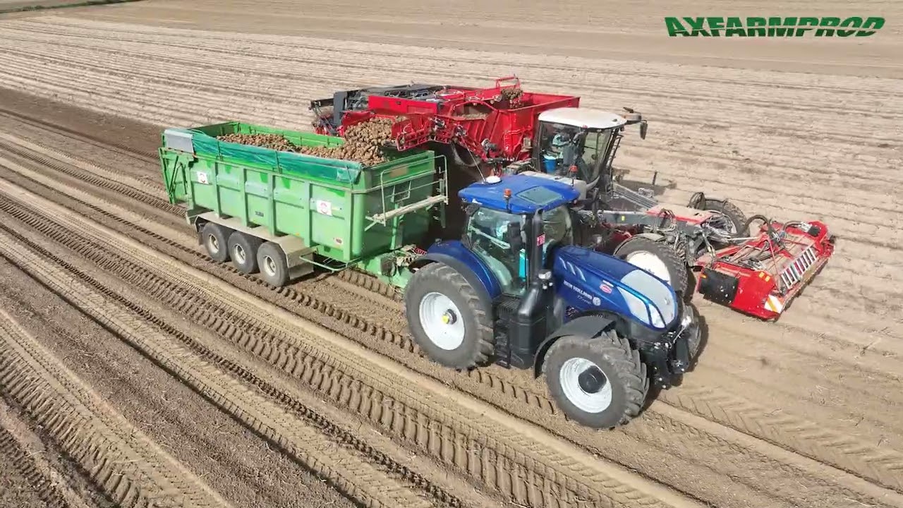Arrachage de PDT en Dewulf Enduro et 4 tracteurs NH, Case IH et Deutz Fahr