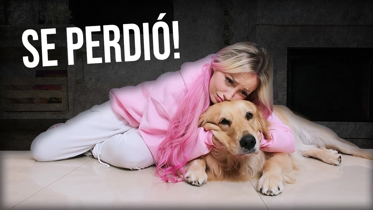 MI PERRITA SE PERDIÓ 💔🥀