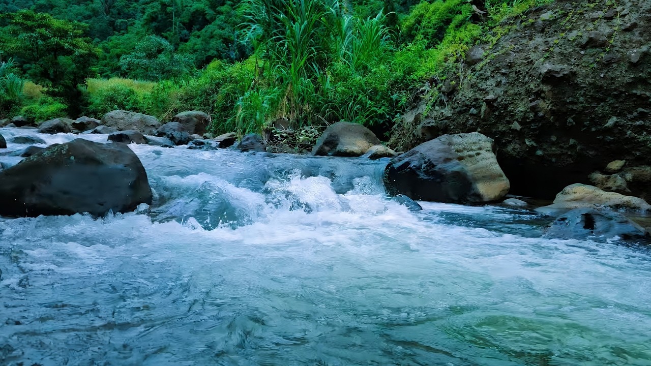 Beautiful Flowing River Sounds and Bird Chirping for Sleep, Study Focus, Meditation and Medicine
