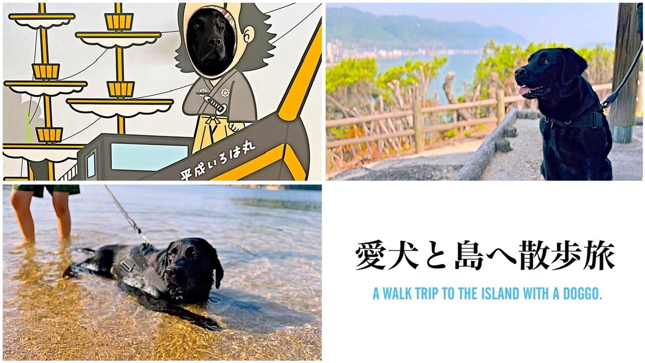 【犬と旅】鞆の浦・仙酔島を散策！初めて船に乗って、島に渡った黒ラブ！そして奇跡のラストシーンが…［ラブラドールレトリバー］