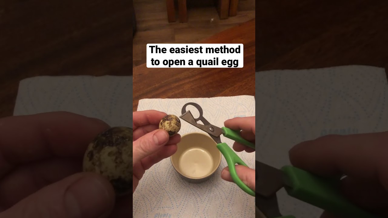 The quickest, mess free method to crack open a quail egg