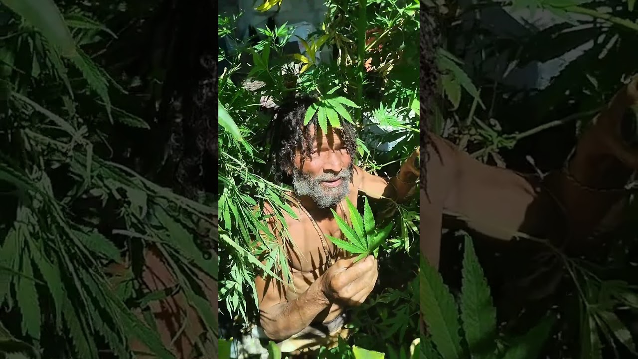 Falling in Love by Xoma Aob