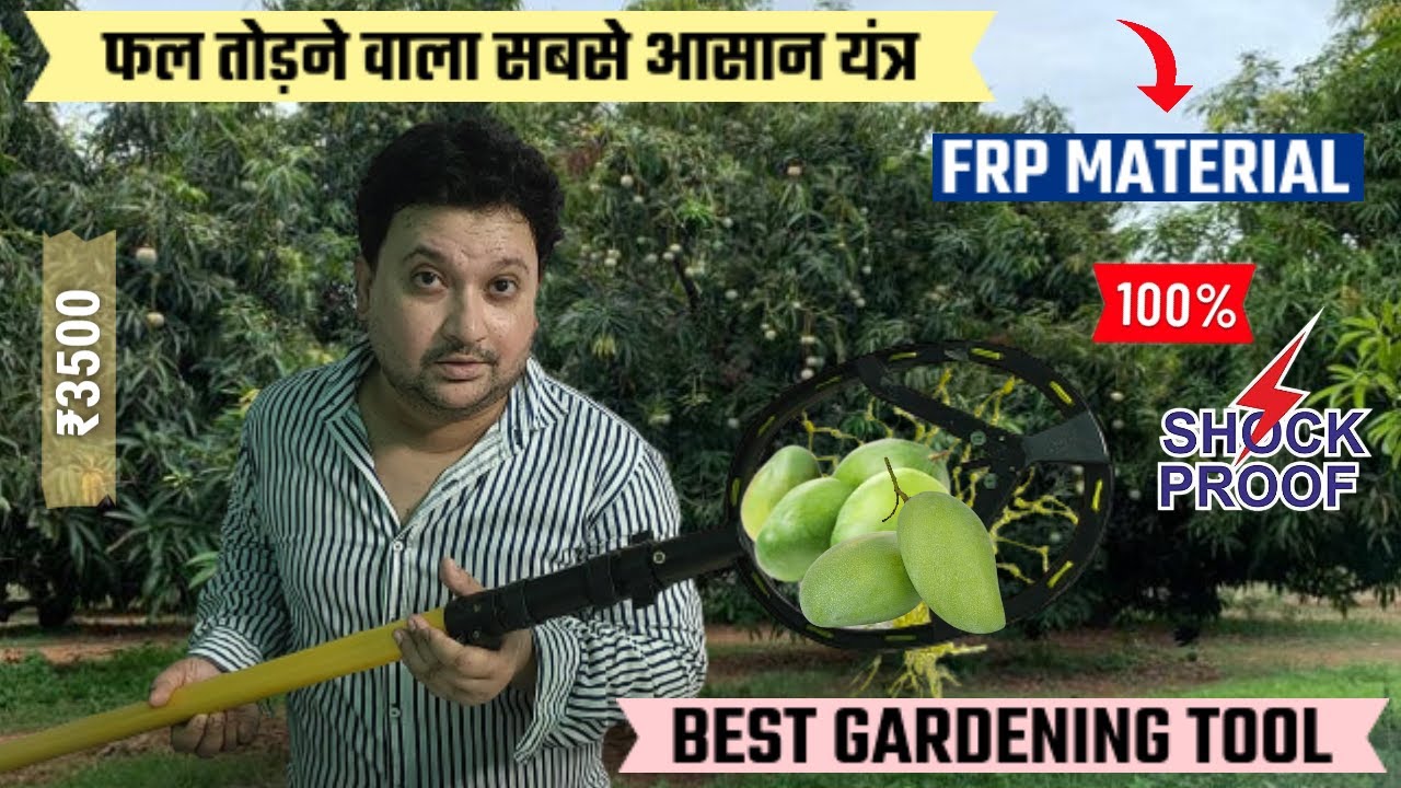 FESTEL SKYTUCH 8-24 ft EXTENDABLE MANGO FRUIT PICKER TELESCOPIC POLE | HINDI | Rajdeep Mukherjee