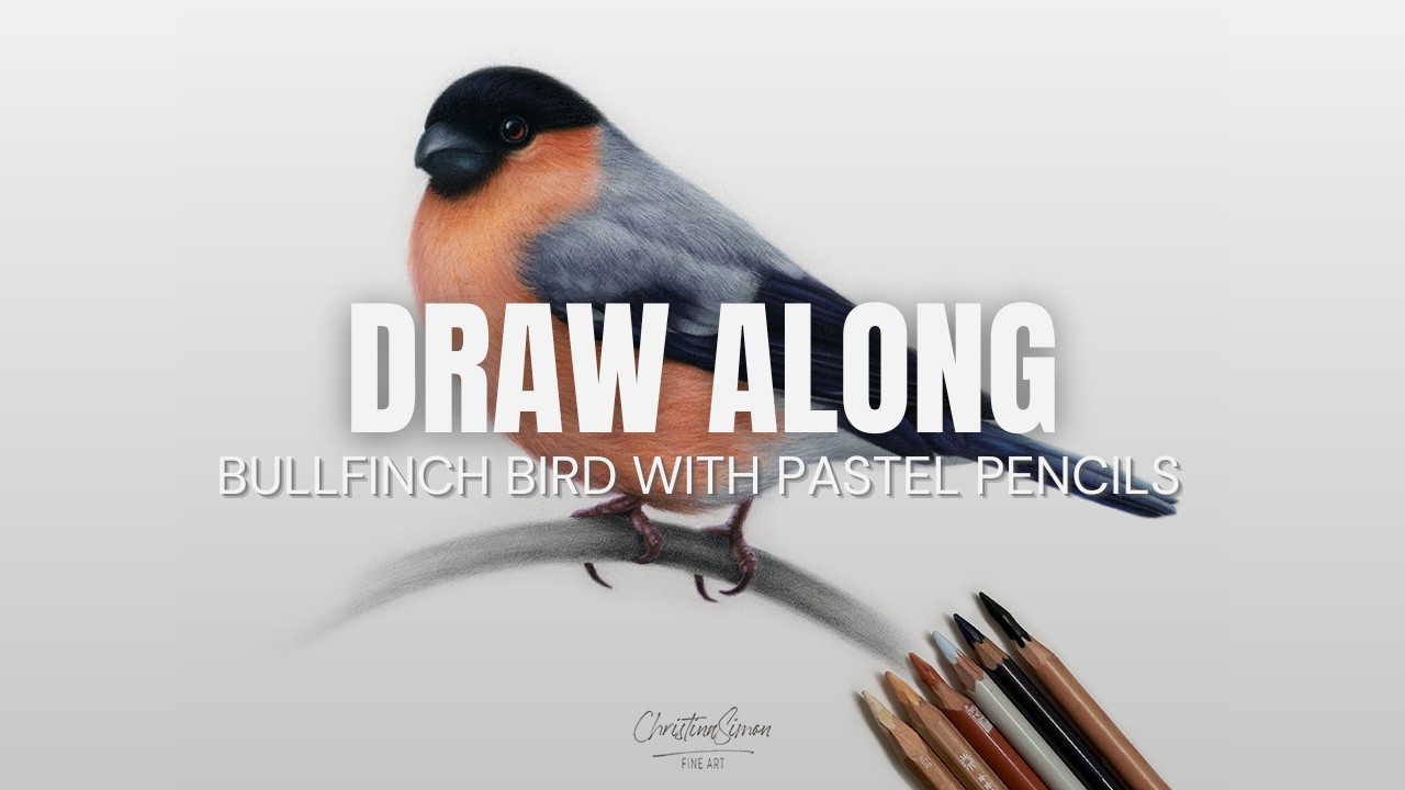 Real‑Time Bullfinch Drawing | Pastel Pencil Techniques