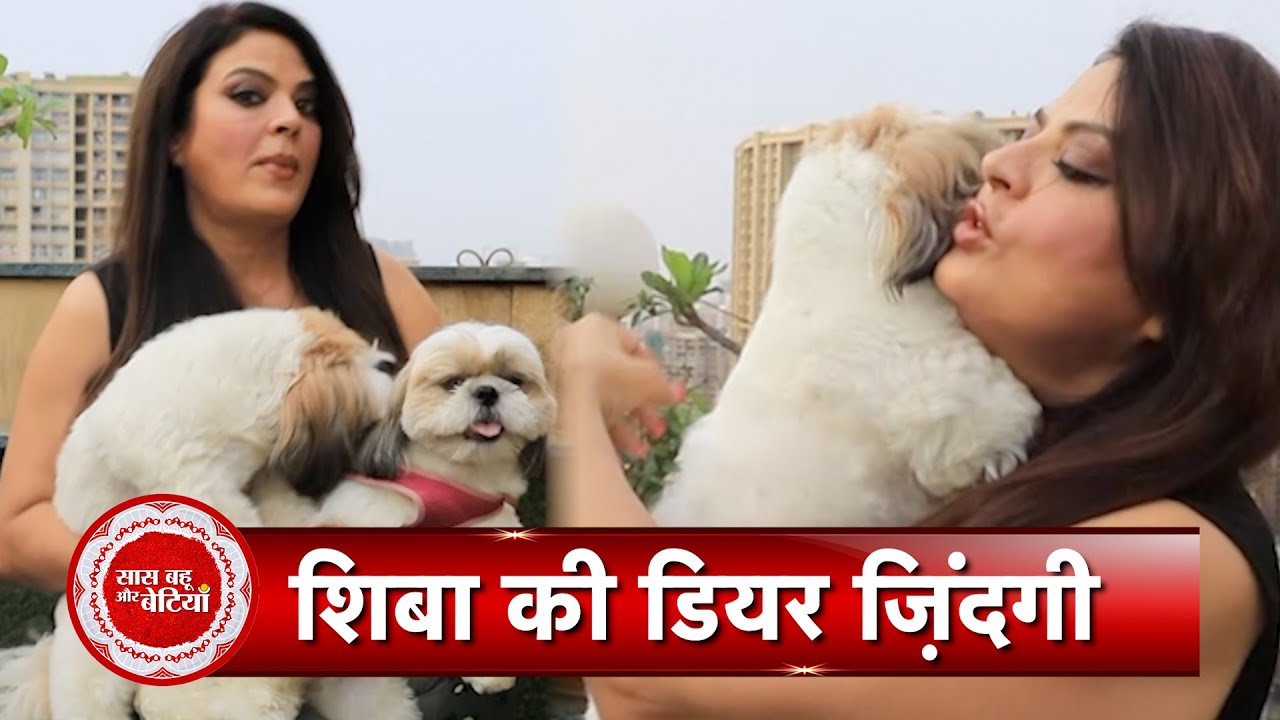 Exclusive Day Out with Naagin 6 Star Sheeba & Her Husband Akashdeep with Saas Bahu Aur Betiyaan