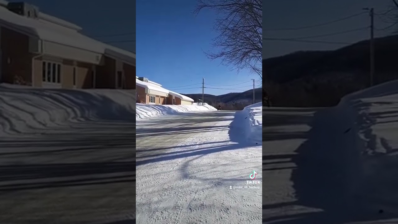 360 with a canam ds 250