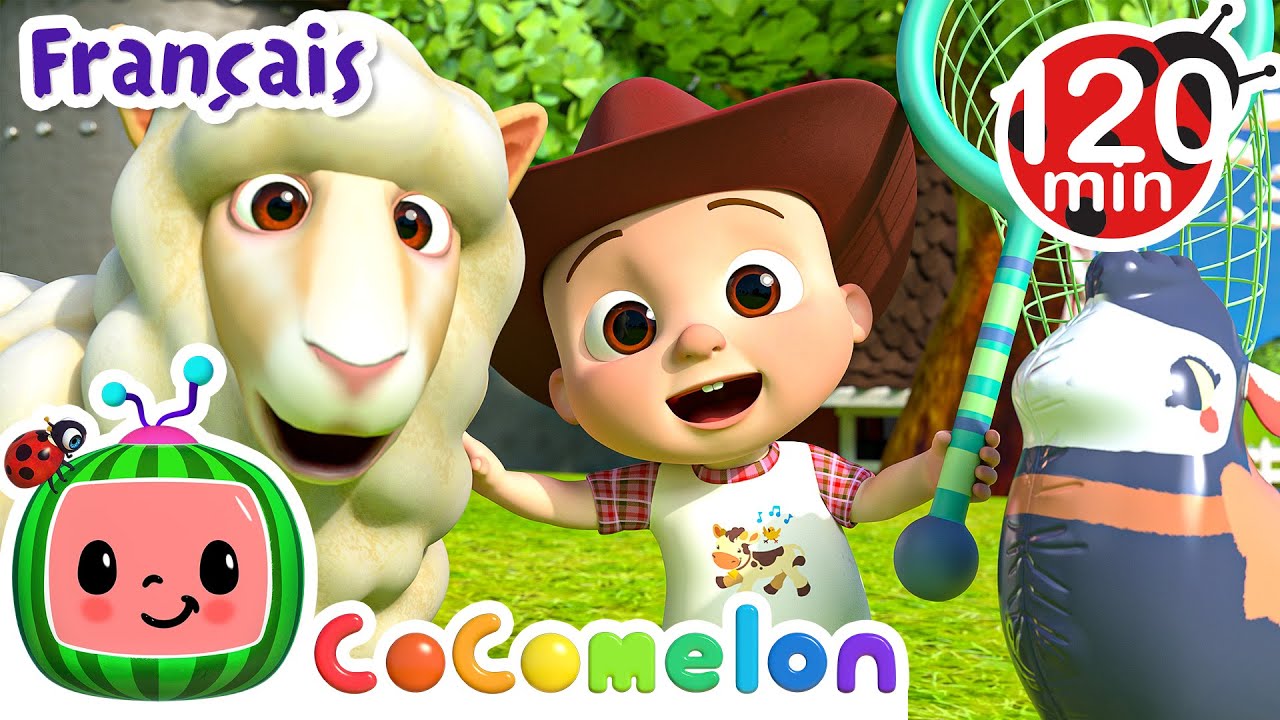 Bee bee mouton noir (joue à faire semblant) | CoComelon en Français | Chansons pour bébés