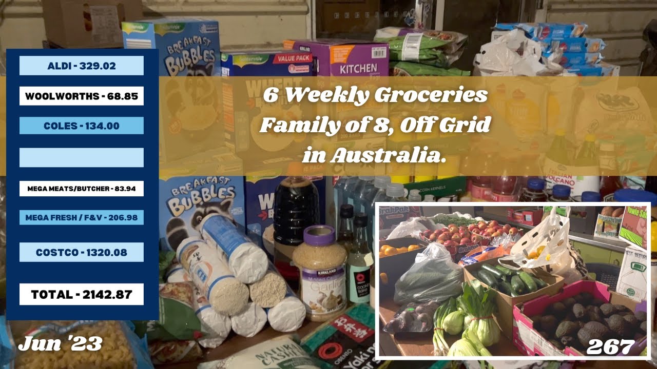 Six Weekly Grocery Haul - Family of 8 - Costco, Aldi, F&Veg, Butcher etc | Off Grid Australia 267