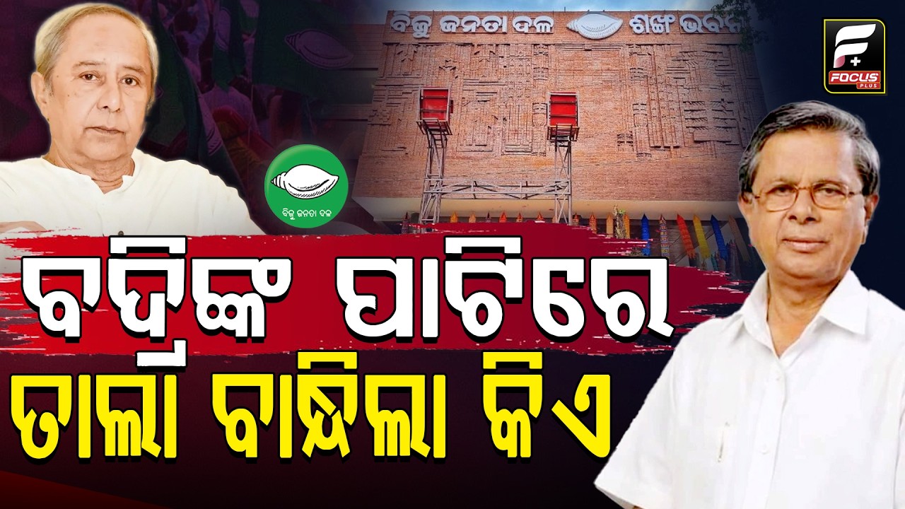 ରାଜ୍ୟସଭା ବାବଦରେ ପ୍ରଶ୍ନ କରୁ କରୁ ଚିହିଁକି ଉଠିଲେ ବଦ୍ରି ପାତ୍ର ll FOCUS PLUS ||