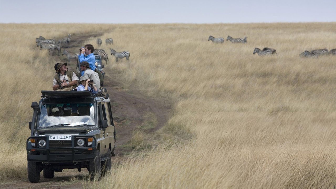 Which is the Safest Safari in Kenya?
