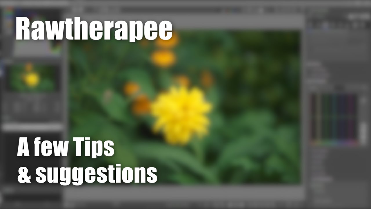 Rawtherapee Tips and Suggestions