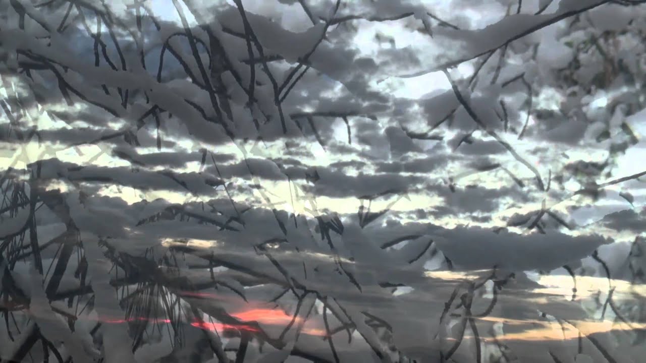 The New Hopes & Sophie - I pagonia (Η παγωνιά)