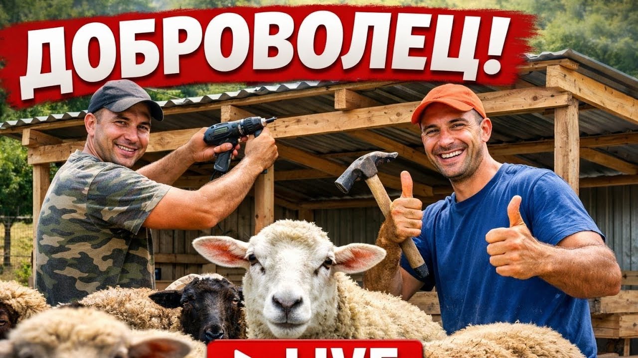 На живо с Данчо от Чехия ❤️🇧🇬 човек с главно Ч!
