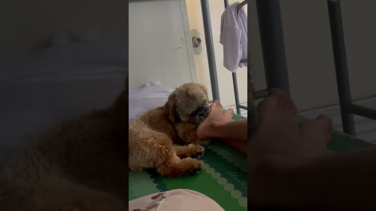 Hmmmm yummy feet 🤣
