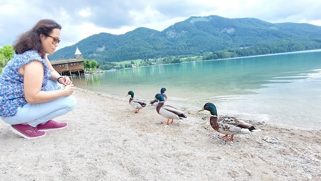 The Beauty of Fuschlsee. @jhunjiechannel5743 #trending #trendingvideo #nature #bondingtime