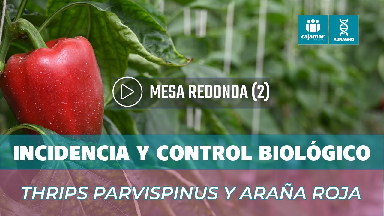 El control biol&oacute;gico como herramienta esencial en el control plagas
