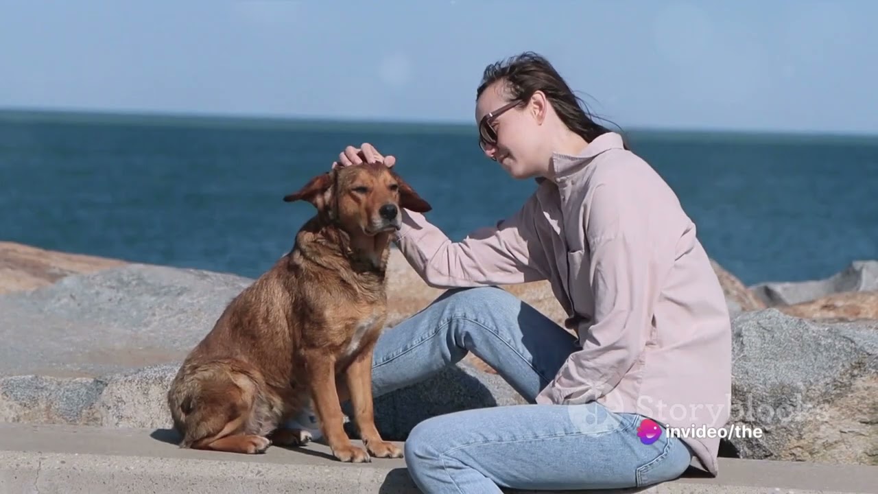 Street Dogs 101: How to Approach and Befriend Them