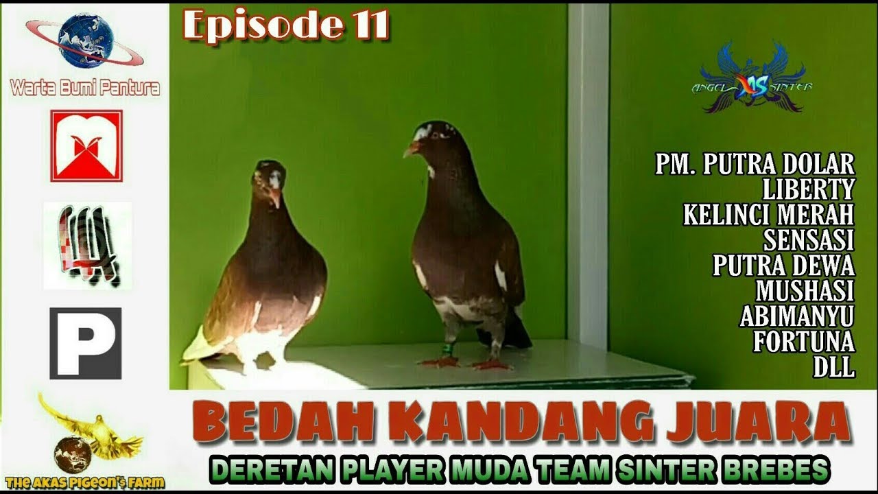 GANAS, DERETAN PLAYER MUDA TEAM SINTER BREBES