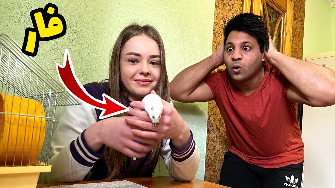 اشترينا فار 🐭😹_ روتين اليومي في اوكرانيا 🇺🇦 _ رحت لجيم gym  _ فلوك | مصطفى ستار