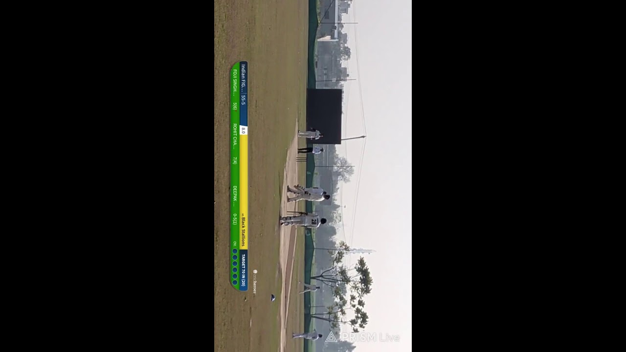 Live streaming of Black Stallions