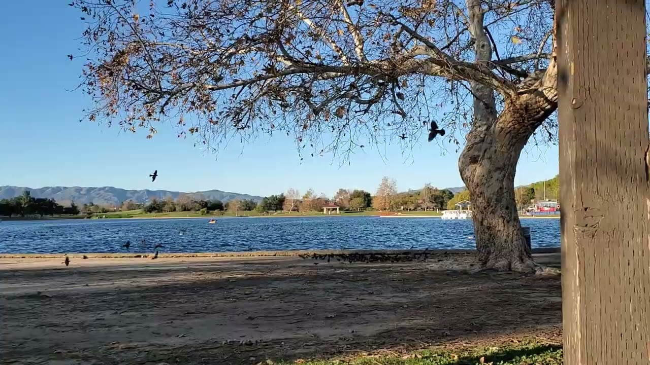 Lake Balboa Visit In January 2026