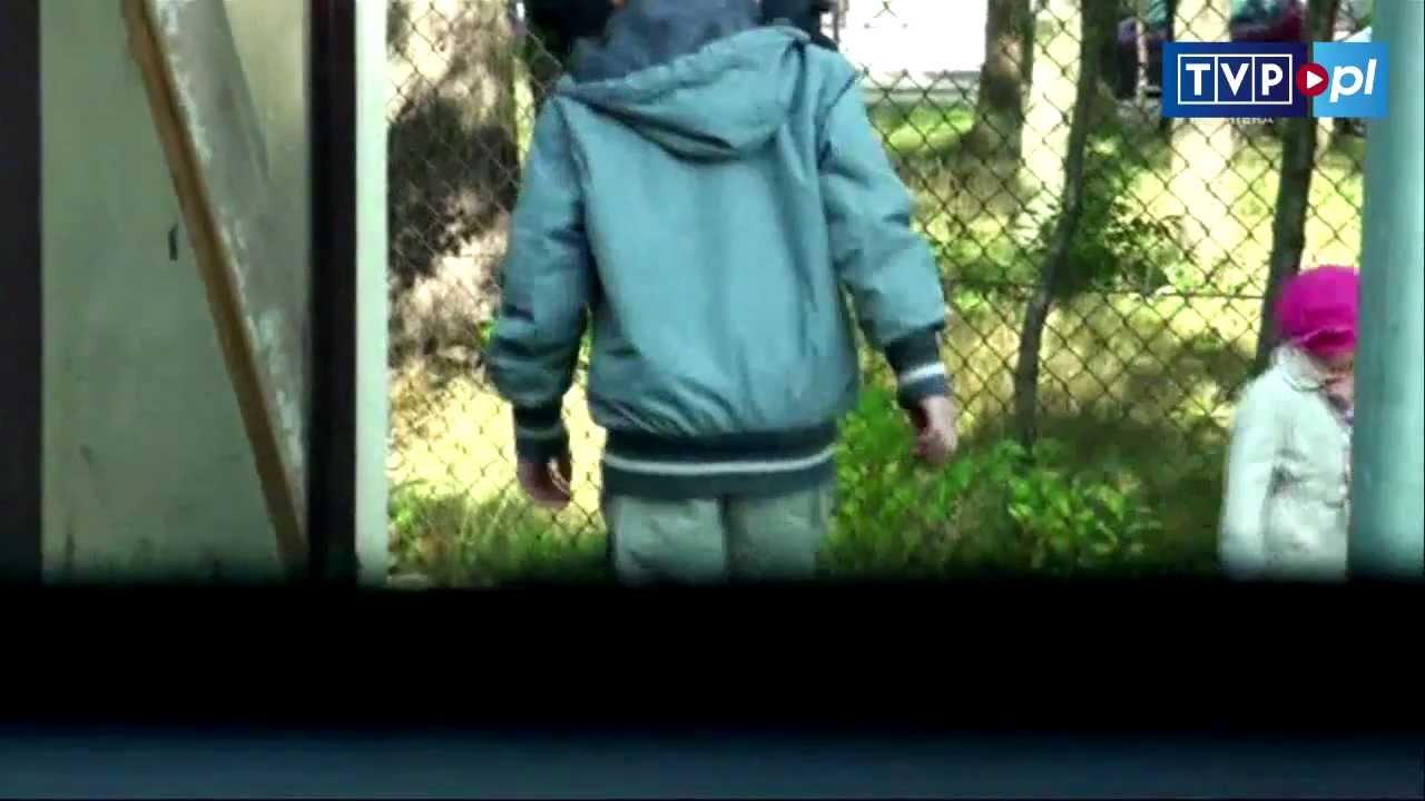 Reportaż Jedynki - Oddali moje wnuki mordercom