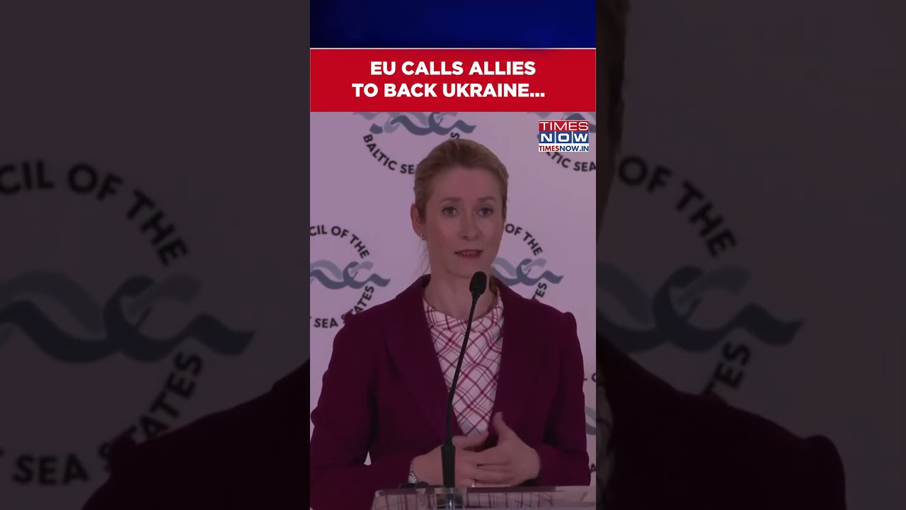 EU's Top Diplomat Urges Continued Support For Ukraine Amid War In The Middle East #shorts