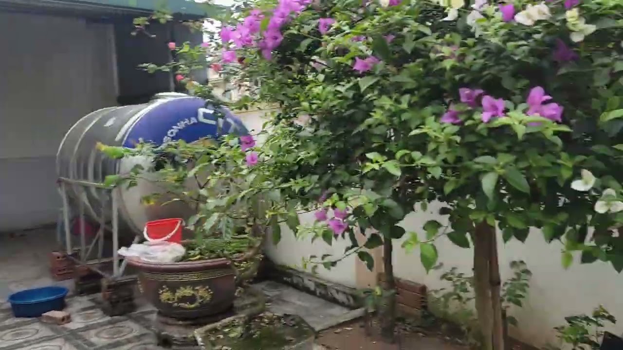  phong cảnh nông thôn
