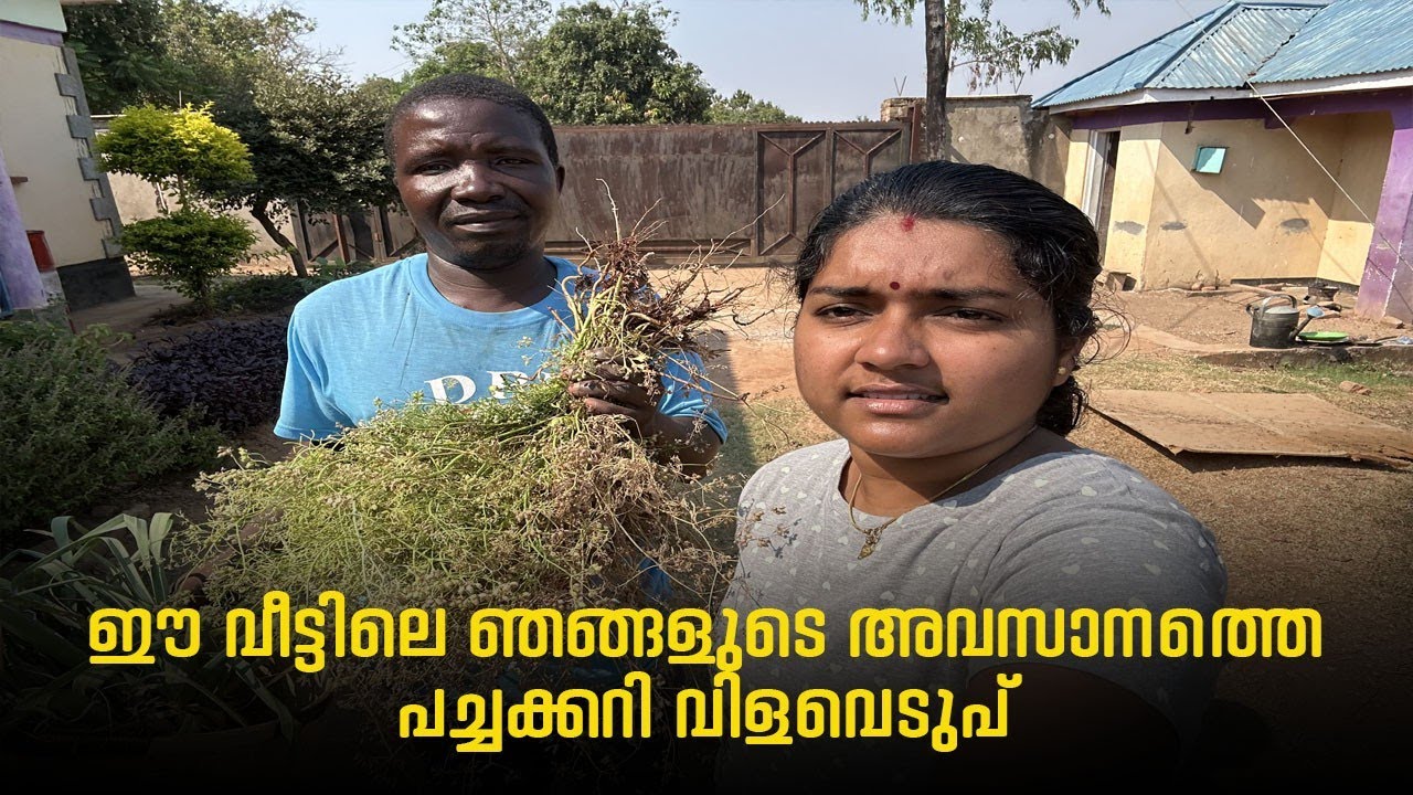 My last vegetable harvest in AFRICAN house 🏡 Malawi diary ♥️ Life of ArunSumi #dailyvlog #vlogs