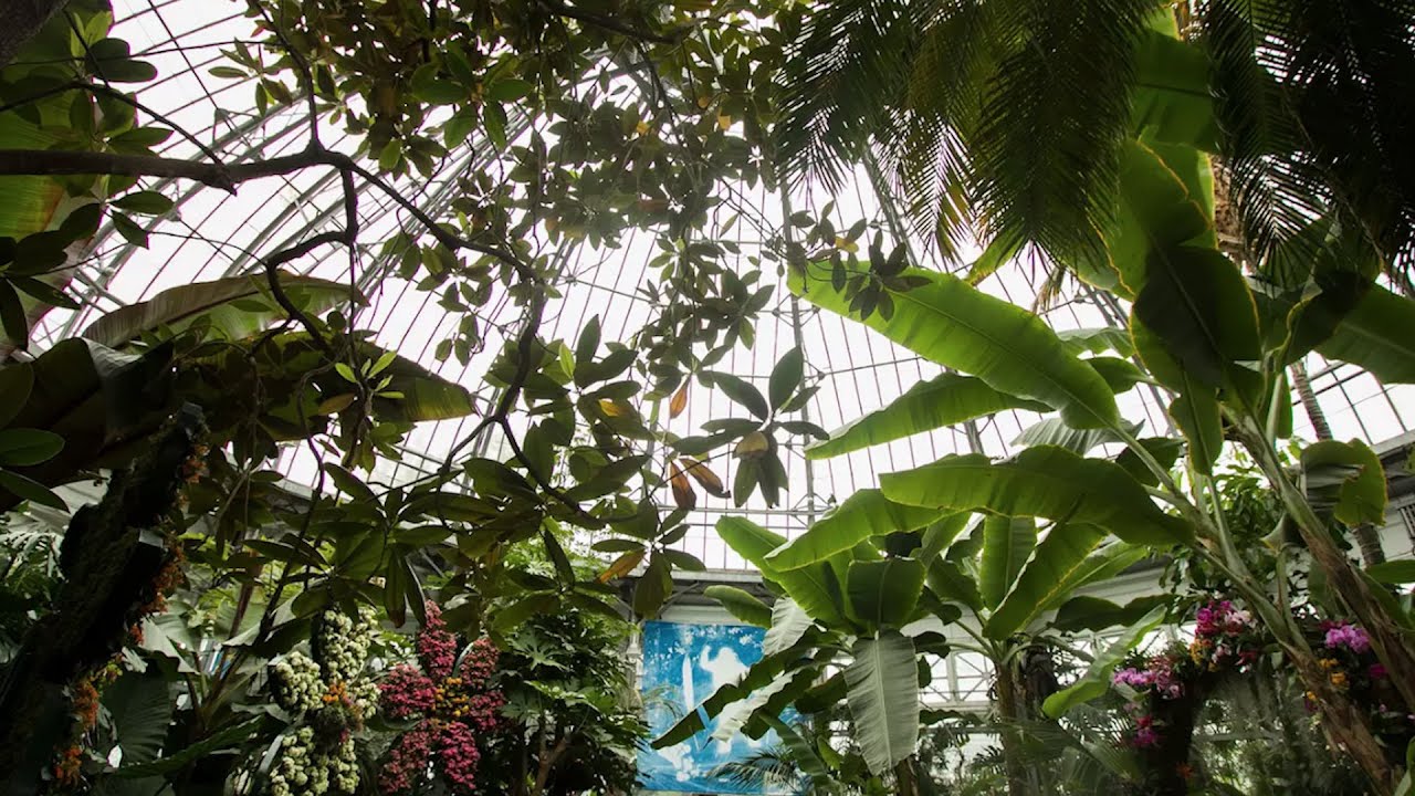 Allan Gardens is Toronto's green oasis in the heart of the city
