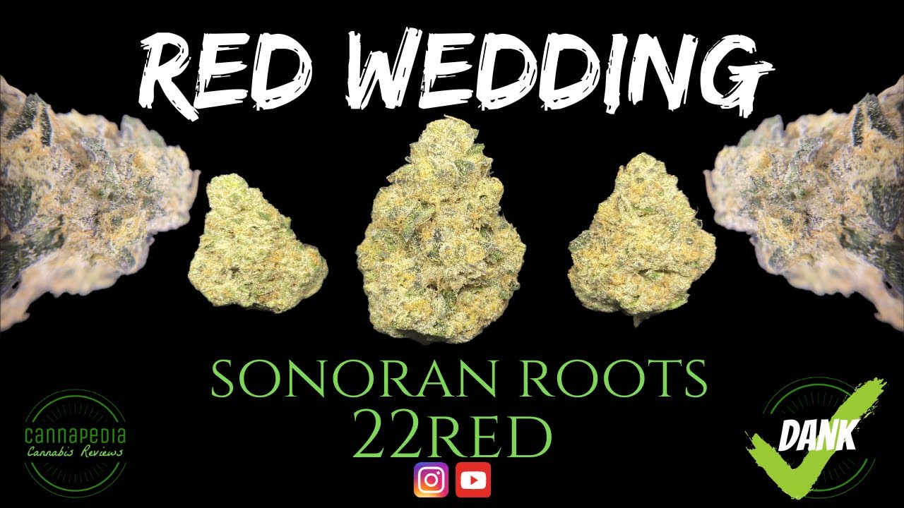 Red Wedding Strain Review - 22Red - Cannapedia