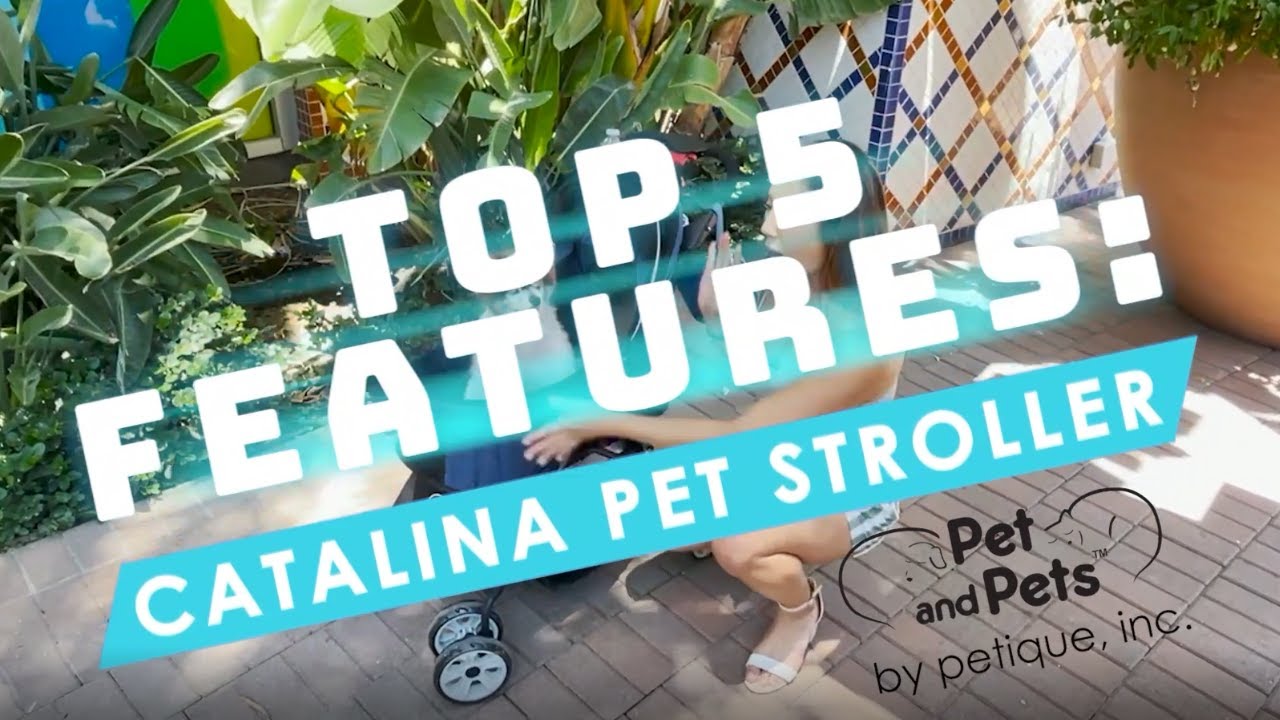 TOP 5 Features of the Catalina Pet Stroller for Dogs, Cats, and Small Animals